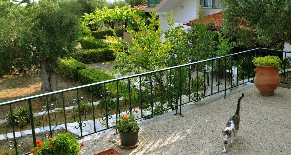 Aris Pension Agia Paraskevi (Kassandra) Exterior foto